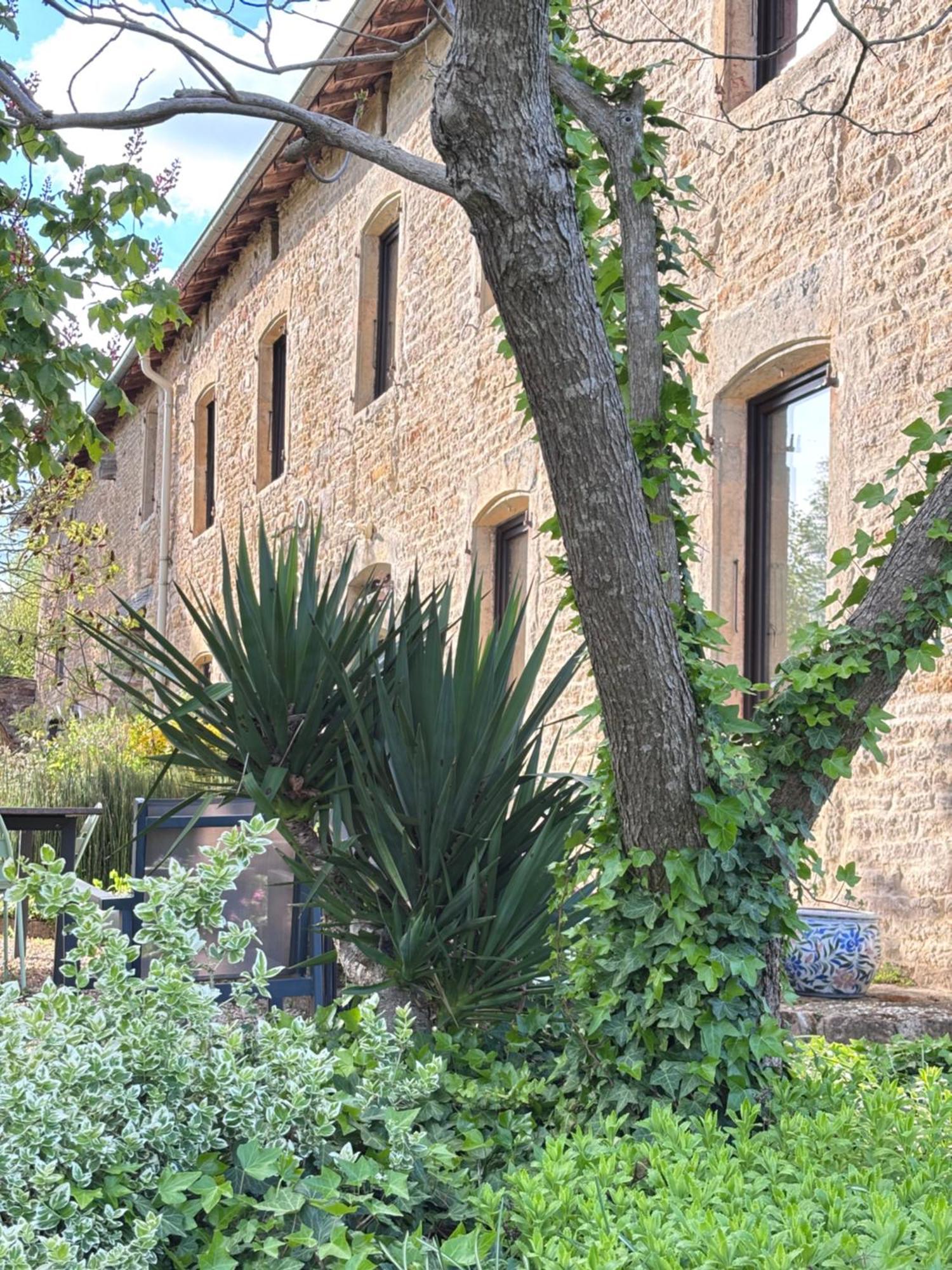 Domaine Du Vernay Mazille Экстерьер фото